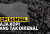 Menjelajahi 5 Jenis Kopi Robusta Sumatera Selatan, Aroma dan Cita Rasanya Unik!