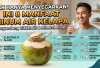 Tak Hanya Menyegarkan, Ini 8 Manfaat Minum Air Kelapa yang Mengandung Elektrolit dan Mineral untuk Tubuh