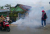 Peralihan Musim Pancaroba Dinkes Lahat Minta Warga Waspada dengan Penyakit Satu Ini, Intik Yuk