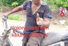 Warga Pagarjati Lahat Keluhkan Bantuan Sapi, Asdi: Yang Bersangkutan Tak Masuk Koptan