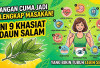 Jangan Cuma Jadi Pelengkap Masakan! Ini 9 Khasiat Daun Salam yang Bikin Tubuh Lebih Sehat