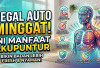 Pegal Auto Minggat! Ini 7 Manfaat Akupuntur yang Bisa Bikin Badan Lebih Fresh dan Nyaman