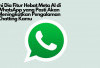 6 Fitur Hebat Meta AI di WhatsApp yang Pasti Akan Meningkatkan Pengalaman Chatting Kamu