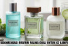 3 Rekomendasi Parfum Paling Chill untuk Ke Kampus! Gue Vote FW One Self, Shiyaaka Shadow, Urban Man Le Parfum