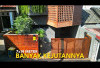 Inspirasi Rumah Unik di Lahan Compact 98 m2, Terasa Luas dan Kekinian!
