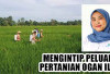 Mengintip Peluang Pertanian Ogan Ilir, di Pundak Petani Milenial Ada Asa Kembalikan Kejayaan di Masa Depan