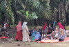 Warga Kemas Daging Kurban di Kebun Sawit, Suasana Kebersamaan dan Gotong Royong Makin Kerasa