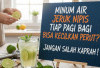Minum Air Jeruk Nipis Tiap Pagi Bisa Kecilkan Perut? Jangan Salah Kaprah, Ini Faktanya!