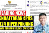 Pendaftaran CPNS 2024 Diperpanjang, Ini Jadwal Seleksi Terbaru 