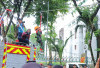 Makin Seru, CFD Palembang Ada Wahana Flying Fox Gratis
