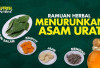 Ampuh dan Alami! 5 Rebusan Tanaman Herbal Ini Dipercaya Bantu Redakan Asam Urat pada Lansia