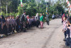 Semangat 45, Siswa SDN 19 Kikim Timur Sambut TMMD 128 Kodim 0405 Lahat, Tanamkan Nasionalisme Sejak Dini
