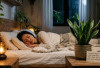 JANGAN SEPELEKAN! 5 Tanaman Hias Ini Diam-Diam Bisa Bikin Tidur Kamu Jauh Lebih Nyenyak, Nomor 2 Bikin Kaget!