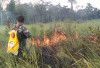 Musibah Kebakaran Terjadi di Kawasan TNWK, Beginilah Gerak Kilat Babinsa Padamkan Karhutla
