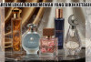 Wangi Sultan Tapi Harga Lokal, Ini 5 Parfum Lokal Aroma Mewah yang Bikin Ketagihan, Mana Favoritmu?