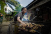 Asap Dapur Kayu Bakar Simbol Kehangatan Warga Lubuk Tampang Ditengah TMMD 128