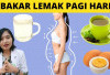 4 Minuman Penurun Berat Badan yang Bisa Dikonsumsi di Pagi Hari!