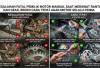 Kesalahan Fatal Pemilik Motor Manual Saat Merawat Rantai dan Gear, Begini Cara Tepat Agar Motor Selalu Prima
