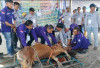 Idul Adha 1447 H, Disbunnak OKI Sembelih 5 Sapi dan 1 Kambing 