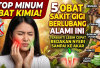 Stop Minum Obat Kimia! 5 Obat Sakit Gigi Berlubang Alami Ini Terbukti Lebih Cepat Redakan Nyeri Sampai ke Akar