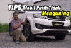 Panduan lengkap merawat cat mobil putih agar tetap cerah dan terhindar dari efek menguning.