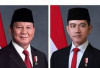 Besaran Gaji Presiden dan Wakil Presiden Berapa Ya?