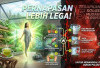 Pernapasan Lebih Lega! Terapkan 5 Solusi Mudah Ini di Rumah untuk Menangkal Dampak Buruk Polusi Udara