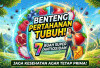 Benteng Pertahanan Utama Tubuh! 5 Buah Kaya Antioksidan yang Siap Menjaga Kesehatan agar Tetap Prima