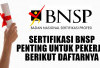 Inilah Manfaatnya! Sertifikasi BNSP Penting untuk Pekerja, Berikut Daftarnya