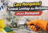 Cara Mengatasi Tembok Lembap dan Berjamur secara Permanen dan Bahayanya!