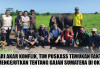 Cari Akar Konflik, Tim Puskass Temukan Fakta Mengejutkan tentang Gajah Sumatera di OKI