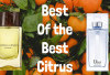5 Rekomendasi Parfum Citrus buat Wanita Tahan Lama, Segar Sepanjang Hari!